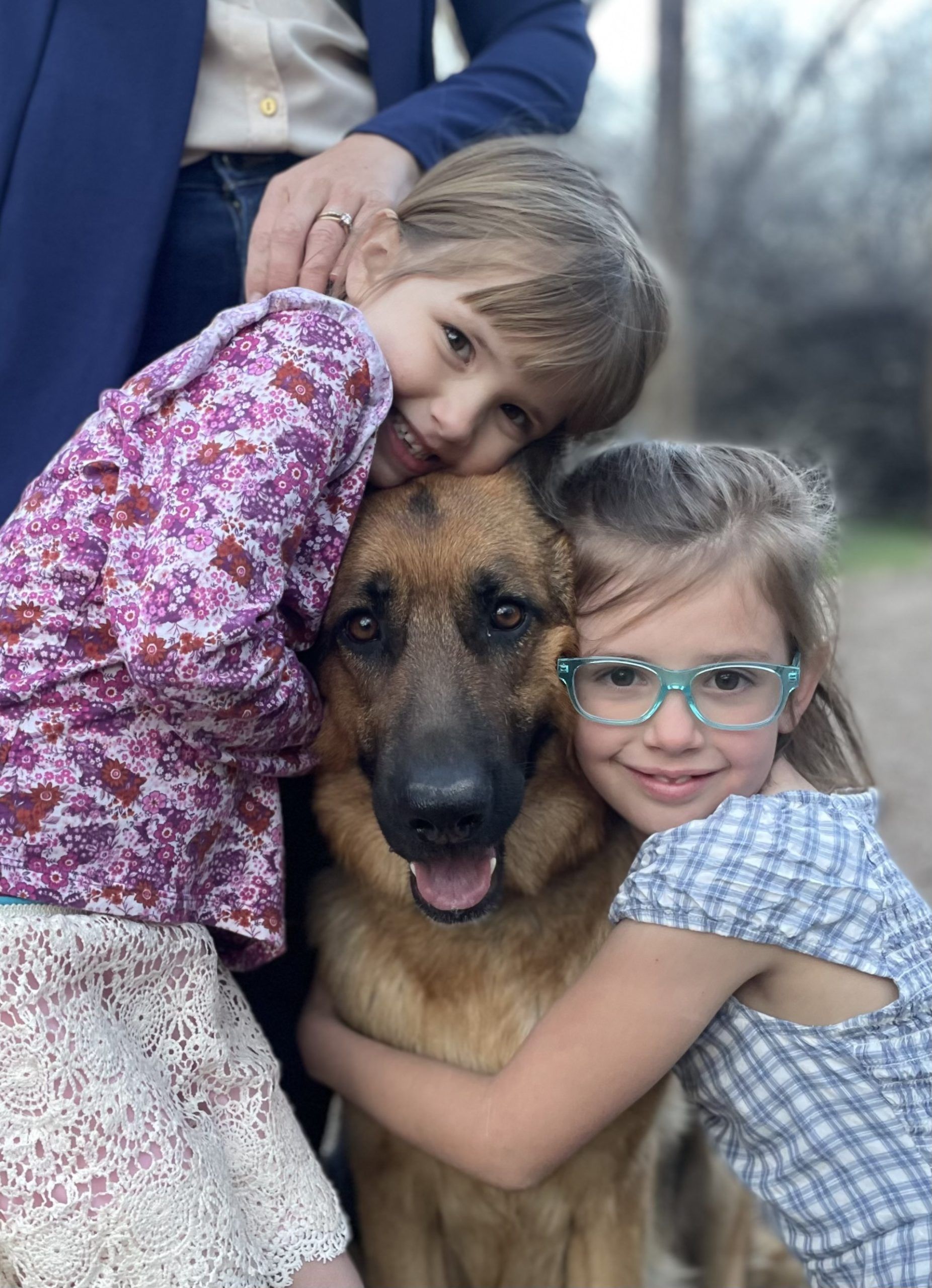 german shepherds in grand junction co