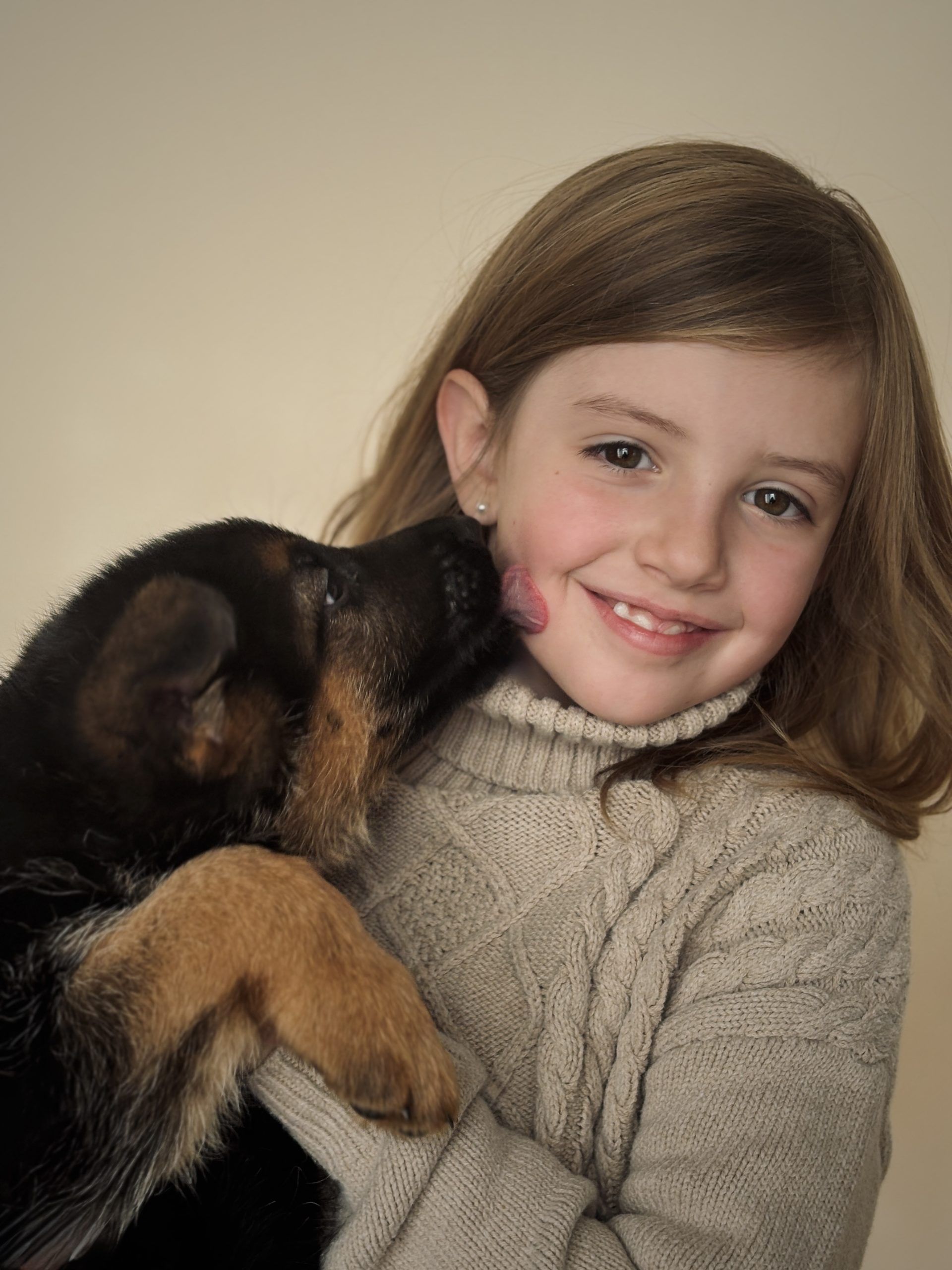 german shepherds in grand junction co