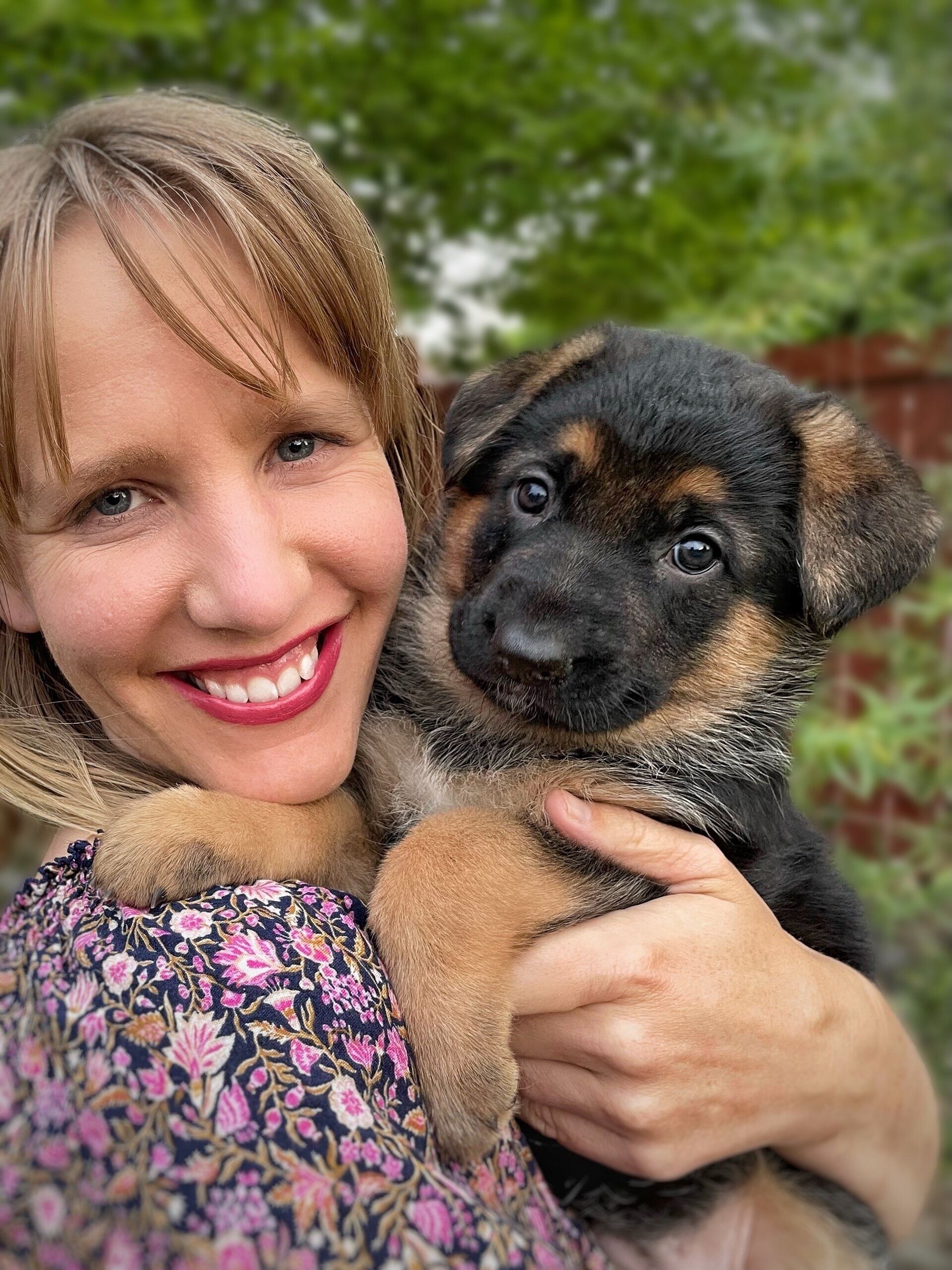 german shepherds in grand junction co